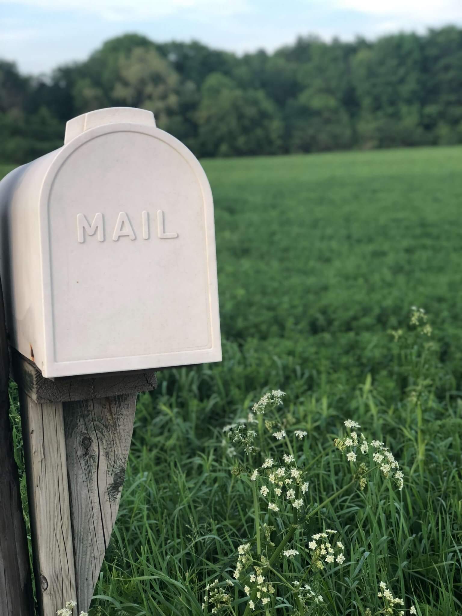 Dumping mail…dishonest, malicious, or lazy?