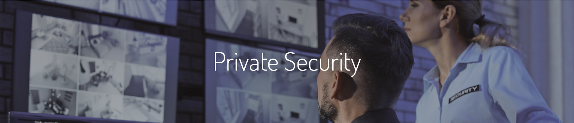 Main Image - Private Security